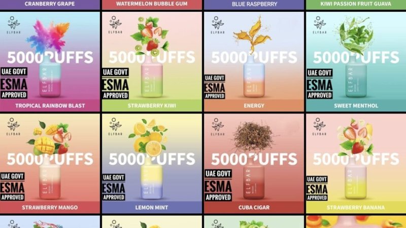 Découvrez les 7 activités de plein air incontournables cet été en France.